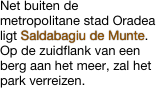 Net buiten de metropolitane stad Oradea ligt Saldabagiu de Munte. 
Op de zuidflank van een berg aan het meer, zal het park verreizen. 